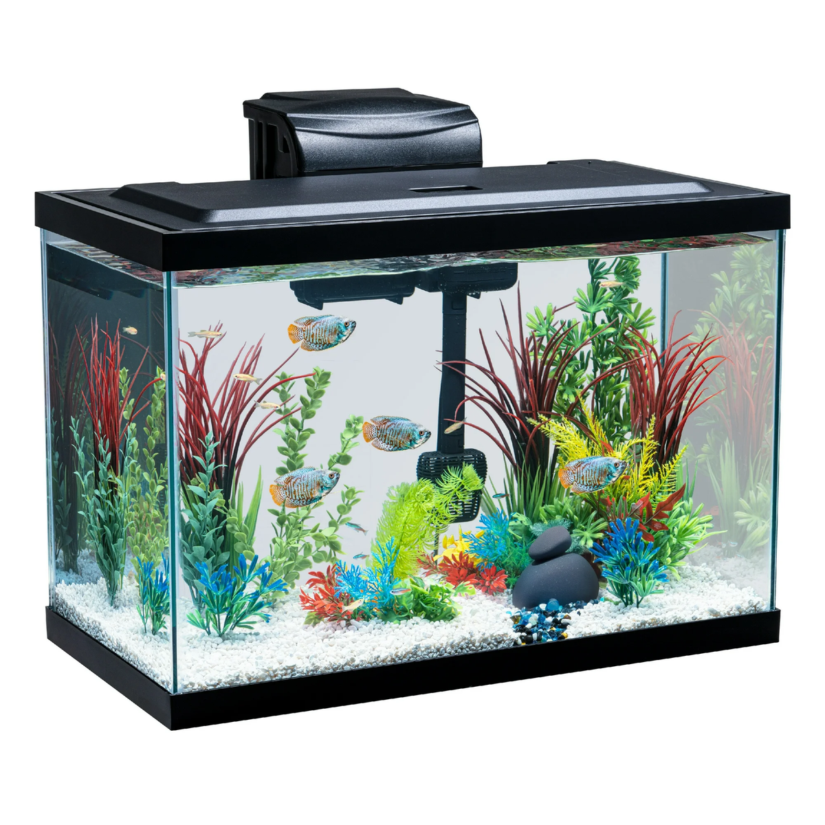 Kleine Vistank met 3 Lagen Filter 1.3 Gallon Plastic Aquarium Starter Kit Duidelijke Acryl Vistank met Led-licht en Zelfreinigend Systeem voor Desktop Decor