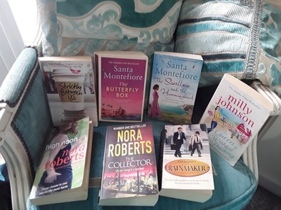 7 Brilliant Books - Jane Fallon, Nora Roberts, Santa Montefiore etc