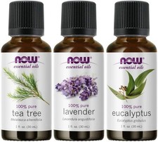 Now Foods Essential Oils: Tea Tree, Eucalyptus, Lavender 1oz