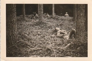 Photo soldat allemand WW2 en pause dans une forêt 7657