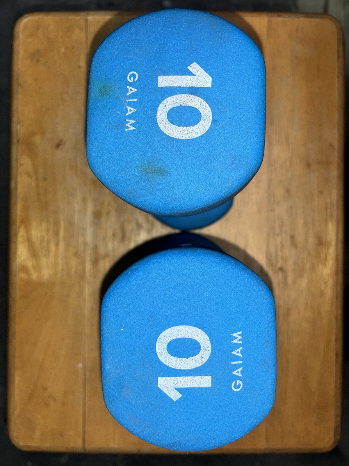 Blue 10lb Dumbbells Pair