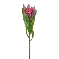 artplants Kunstblume KöNigs Protea Wanba, Lila, 50Cm