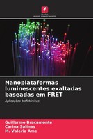 Guillermo Bracamonte (U. A.) | Nanoplataformas Luminescentes Exaltadas...