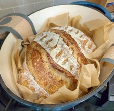 EASY Sourdough Bread Starter San Francisco - Live 200yrs Old BEST SELLER 
