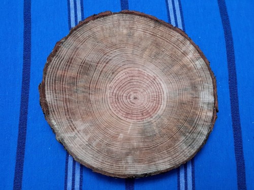 Sottopentola In Legno A Forma Di Albero - 5 Pezzi + Supporto - Proteggi Tavolo Con Stile, Decorazione Naturale - 3