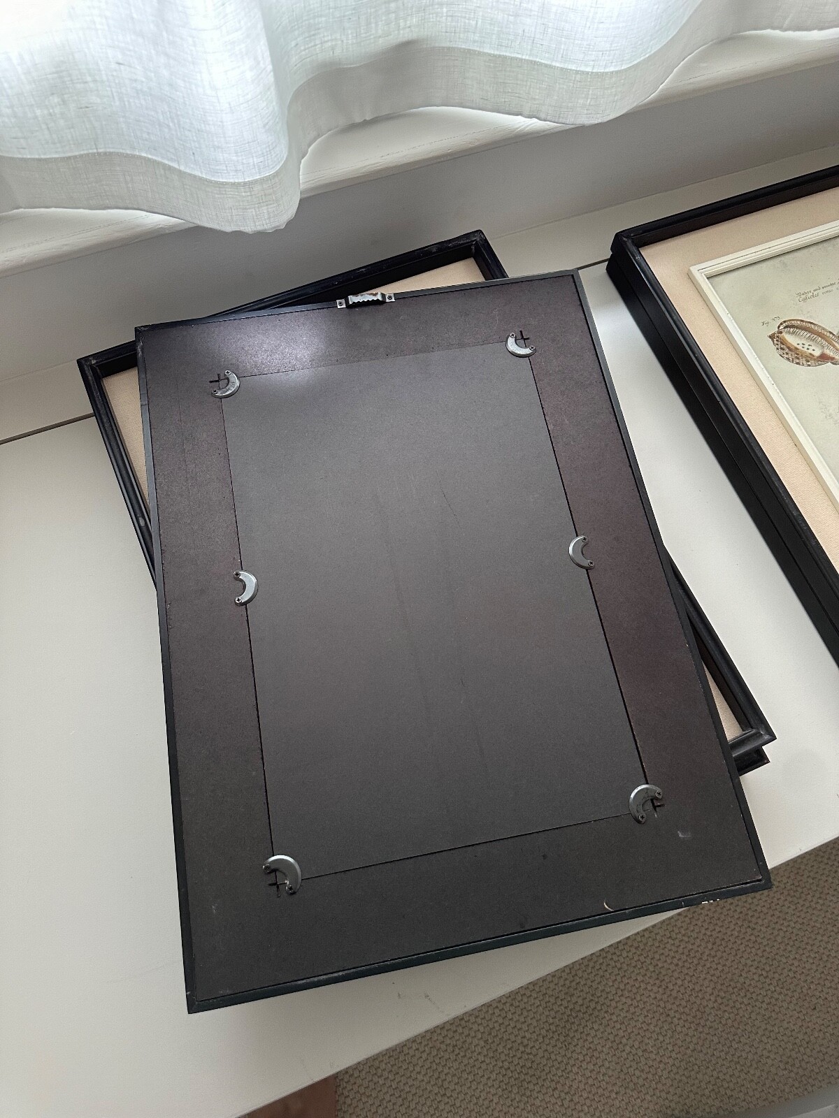 Set of 6 x Oka framed photos shells. Vintage stlye frames. 53.5cm x 40cm eBay