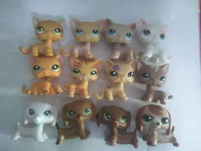24pcs/lot LPS Toys Rare Pet Shop Short Hair Cat Animal Figures  New