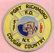 New York City Fire Dept Engine 157 Ladder 80 Patch Cougar Country