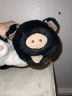 Bild 4 von 12