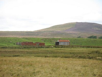 Photo 6x4 Old sheep fold, Horse Kaim Polwarth The esker makes a great win c2007