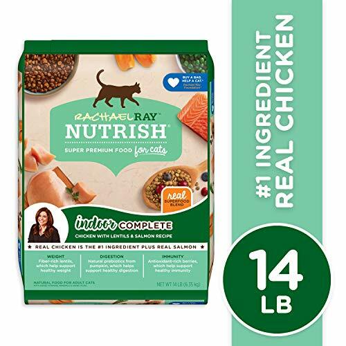 rachel ray nutrish indoor complete