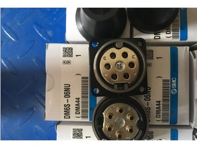 1PCS NEW SMC DM6S-06NU &ex