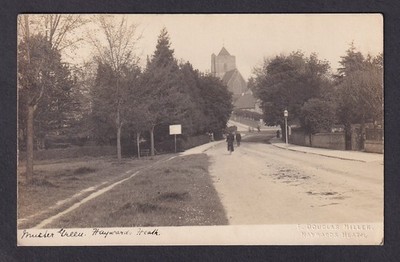 Sussex Uckfield HAYWARDS HEATH Muster Green Postkarte von F D Miller um 1900/10