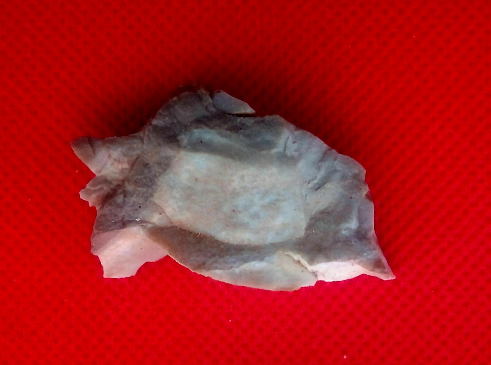 Picture 5 of 12