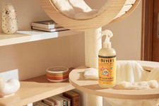 CLEAN DAY Pet Odor Neutralizer, Orange Blossom Scent, 12oz