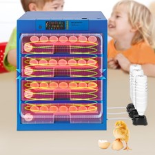 256 Egg Incubator Automatic Egg Turning  Temperature Control Digital Incubators
