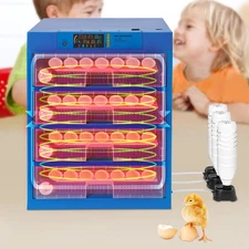 256 Eggs Incubator Tabletop Electric Digital Poultry Hatcher Machine Incubator ﻿
