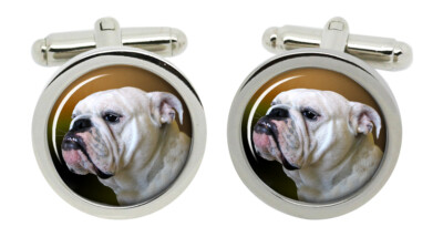 Inglese Bulldog Gemelli In Cromo Scatola Ebay