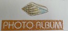 Vtg Dainty Photo Album “Touching Story” With Protective Sleeve Good Condition — photo 9