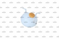 NRF AusgleichsbehäLter KüHlmittel Easy FIT 454026 FüR Tigra Corsa Opel S93 Astra
