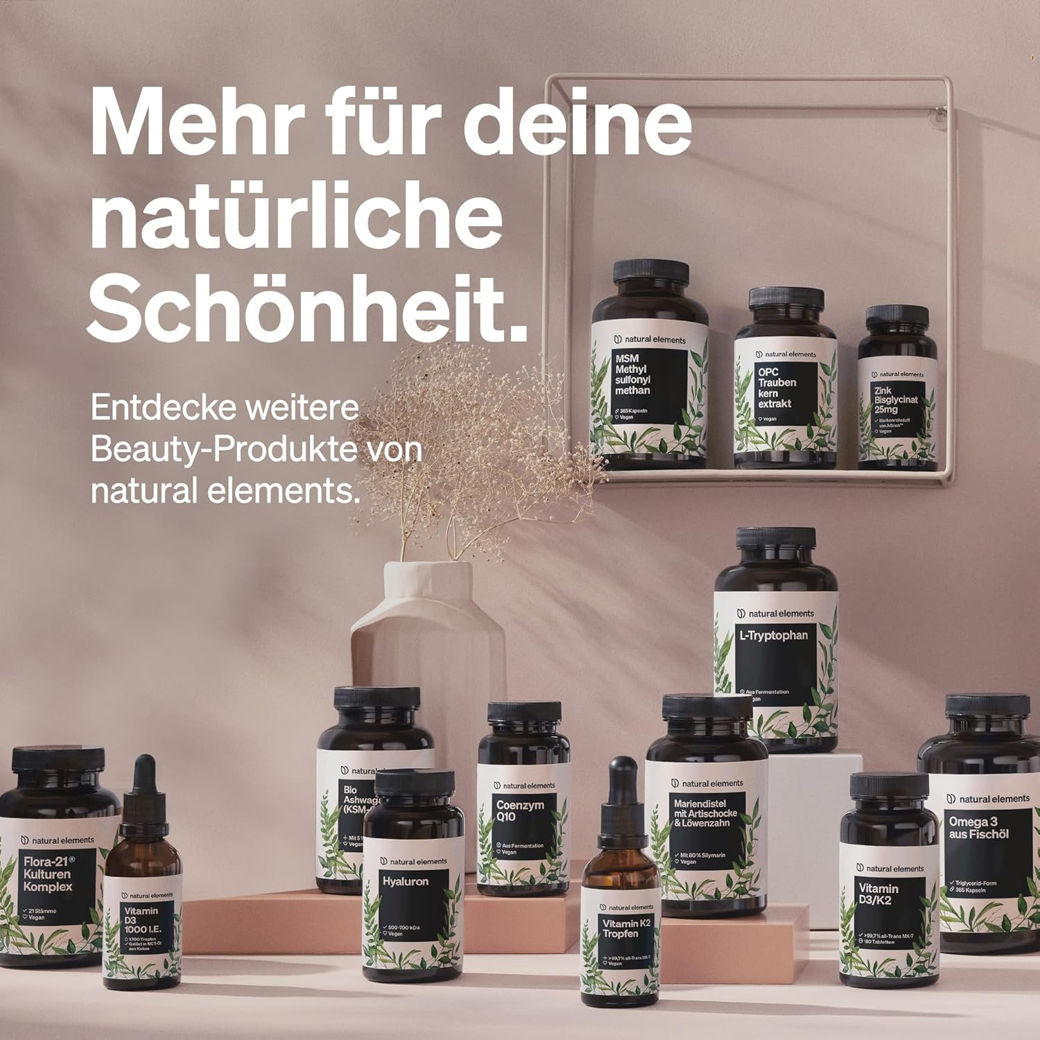 Bild 6 von 11
