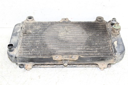 2002 Kawasaki Mojave 250 Radiator w/ Coolant Hoses - Foto 8 di 9