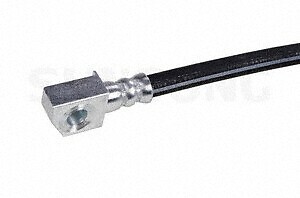 Picture 1
