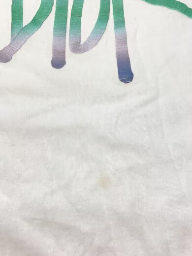 Christian Dior x SHAWN STUSSY 20AW Embroidered Logo Tee Short Sleeve Top Size S thumbnail 7