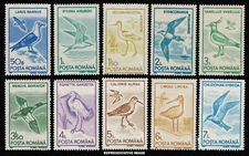Romania BIRDS 1991 Set of 10 Scott # 3639-3648 MINT NEVER HINGED  Complete