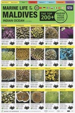 (CONTACT US FOR STOCK) Maldives Marine Life Field Guide “Top 200+” by Tim Godfre
