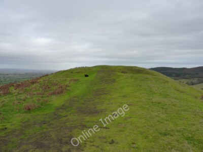 Photo 6x4 The outer ditches and bank of the settlement on The Lawley Broo c2011