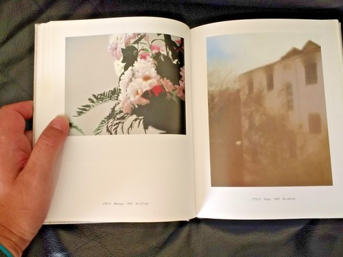 Gerhard Richter: 100 Pictures by Birgit Pelzer, Guy Tosatto (Hardback, 2002) - Picture 7 of 12