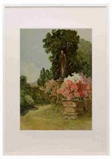 Wallis Rosa 1857 1930 The Studio 1902 A3 A4 Framed Print Picture