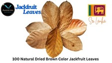 Jackfruit Leaves Natural Dried Jack Fruit leaves 100% Organic bio fish Aquarium