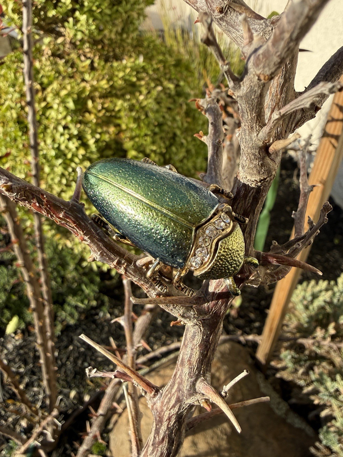 Beautiful Unique Large Statement Beatle Ring Wond… - image 7