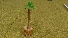 3" Palm Tree in Ceramic Planter for Dollhouse Fairy Garden Village Display 130