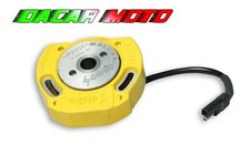 Rotor and Stator Pit Bike-Mini GP 4T 110 4T (Lifan FY152FMH) 5513356 Malossi