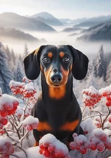 Dachshund Black/Tan SH Winter Berries Flag