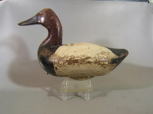high head canvasback duck decoy atttrib. Sam Barnes Havre de Grace Md. ca. 1890
