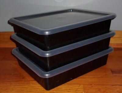 3 Pack Storex Letter Size Flat Storage Tray Organizer Bin with Non-Snap Lid