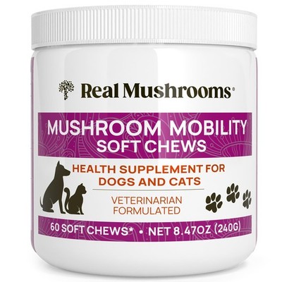 Real Mushrooms Mobility Chews for Dogs  Cats   Green Lipped Mussel  ErgoGold ...