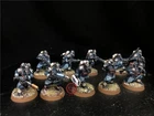 Warhammer 40K DPS painted Astra Militarum Death Korps of Krieg SK8432