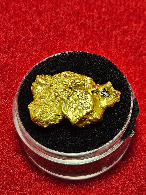 California Natural Gold Nugget  12.2  Grams in a Gem jar w/lid