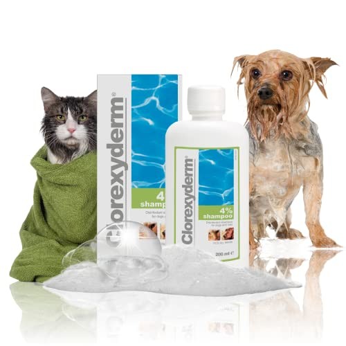 ICF | Clorexyderm 4% Dog Shampoo for Itchy Skin Relief | Anti Itch + Antifungal