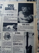 El92 Ephemera 1970 article nicola beazley Denbighshire brutus dog