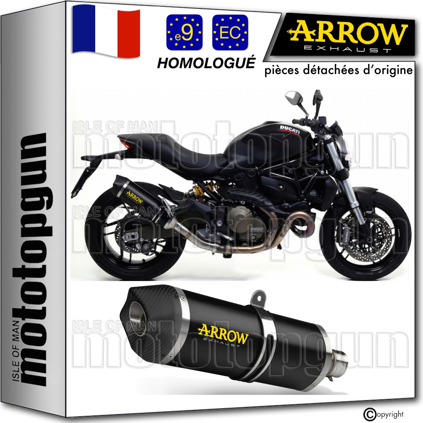 Échappement Arrow approuvé open noir C Race-Tech pour moto Ducati Monster 821 2015