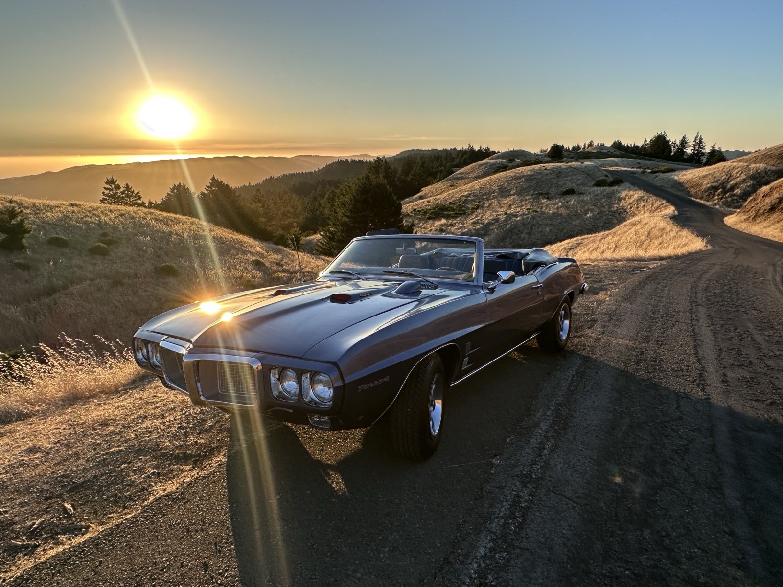 1969 Pontiac Firebird for sale in San Rafael California