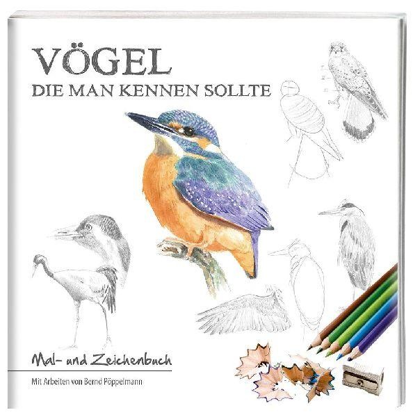 Tecklenborg, B Vögel, Die Man Kennen Sollte: Mal- Und Zeichenbuch - Bild 3