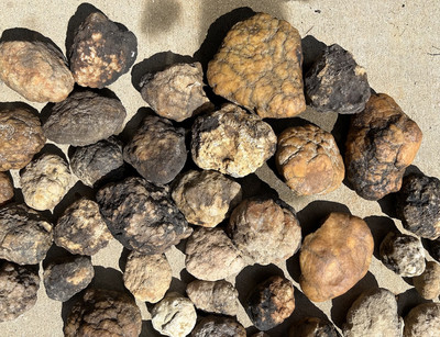 10 Lbs Bulk Lot Unopened Geodes/Nodules Natural Semi Solid-Break Your Own Geodes