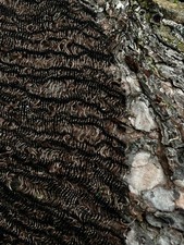 Brown Hollow Out Linen Cotton Blended Fabric By 2 Meters.